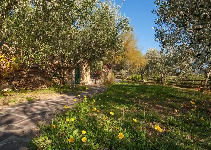 Piccola Oasi 9 By Interhome