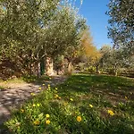 Piccola Oasi 9 By Interhome
