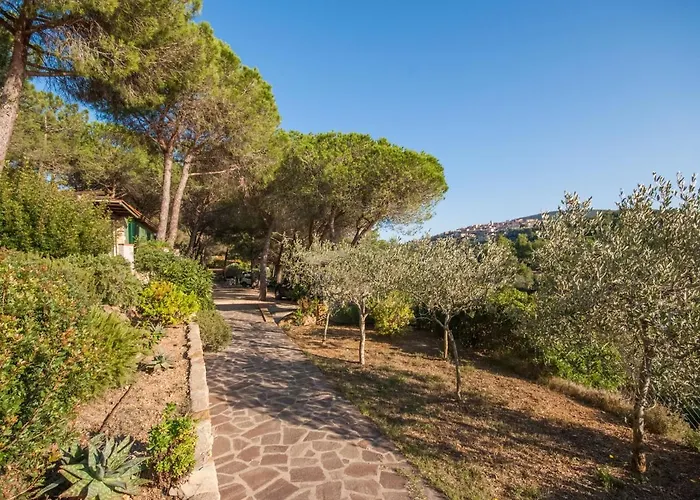 Piccola Oasi 9 By Interhome